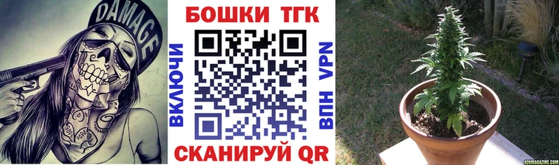Шишки марихуана план  маркетплейс наркотические препараты  Белово 